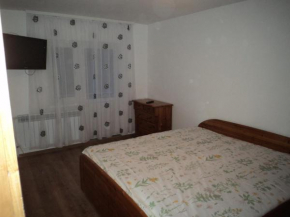 Apartament Gura Humorului